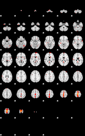 Patients 28779 65