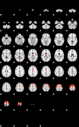 Patients 29096 36