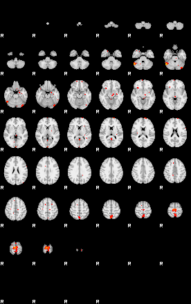 Patients 29154 172