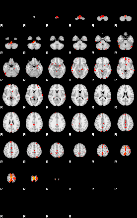 Patients 29218 57