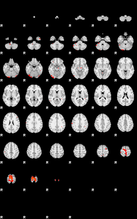 Patients 29274 100