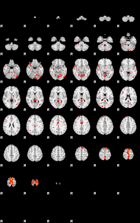 Patients 29277 196