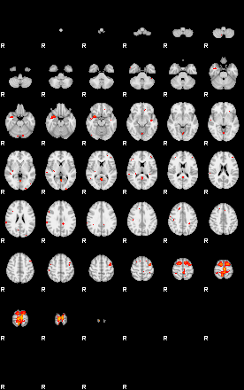 Patients 29281 22