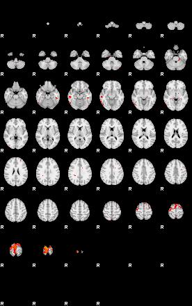 Patients 29391 119