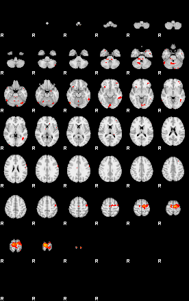 Patients 29409 100