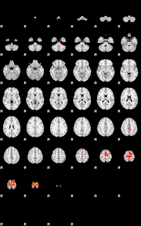 Patients 29416 105