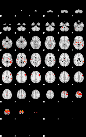 Patients 29435 102