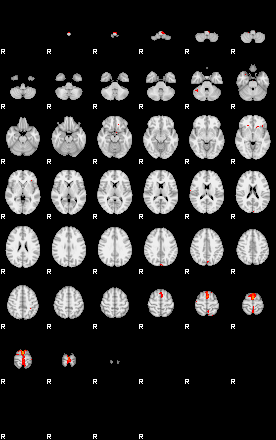 Patients 29731 196