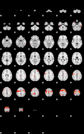 Patients 29741 169