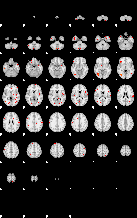 Patients 29595 9