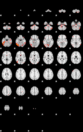 Patients 28958 97