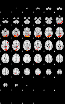 Patients 29151 68