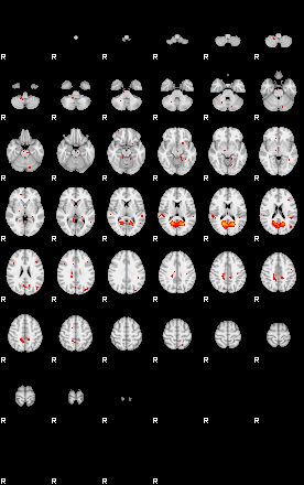 Patients 28790 24