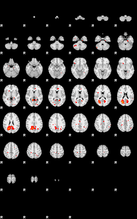 Patients 28819 24