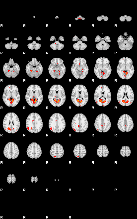 Patients 28871 26