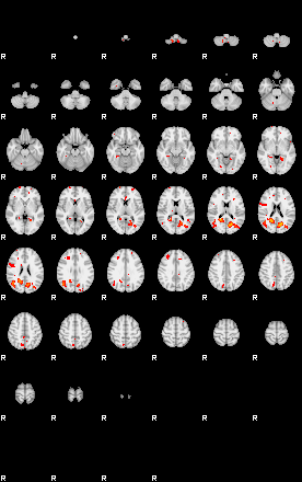 Patients 28890 24