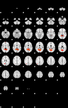 Patients 28909 25