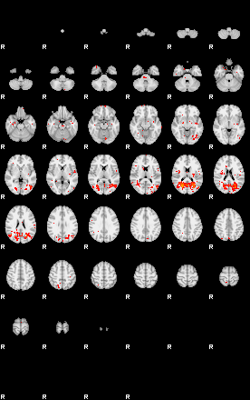 Patients 28931 24