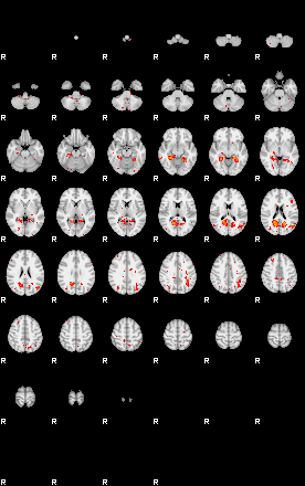 Patients 28966 27