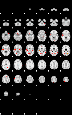 Patients 29025 24