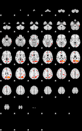 Patients 29064 24