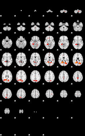 Patients 29096 24