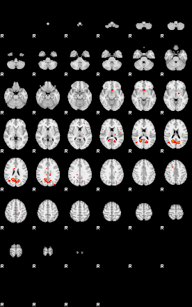 Patients 29105 23