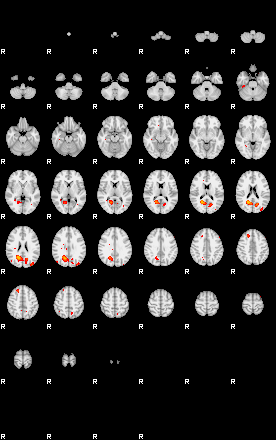 Patients 29157 26