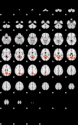 Patients 29164 76