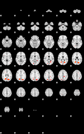 Patients 29181 26