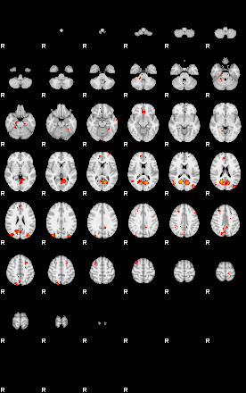 Patients 29190 28