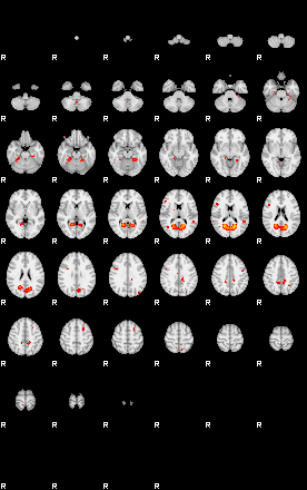 Patients 29217 30