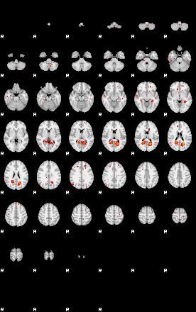 Patients 29224 26