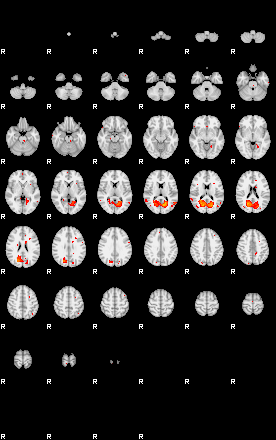 Patients 29273 24