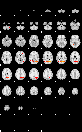 Patients 29514 23