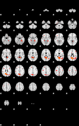 Patients 29540 10