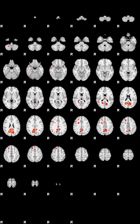 Patients 29543 23