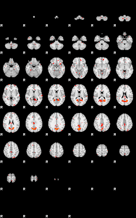 Patients 29603 19