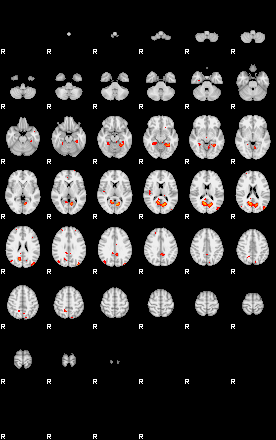 Patients 29667 24