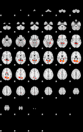 Patients 29670 23