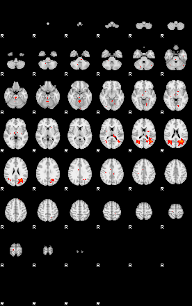 Patients 29675 26