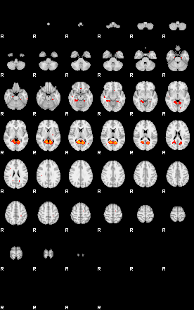 Patients 29677 23