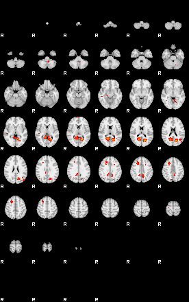 Patients 29731 24