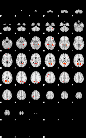 Patients 29735 26