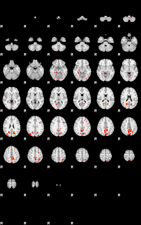 Patients 30178 25