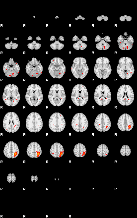 Patients 29173 104