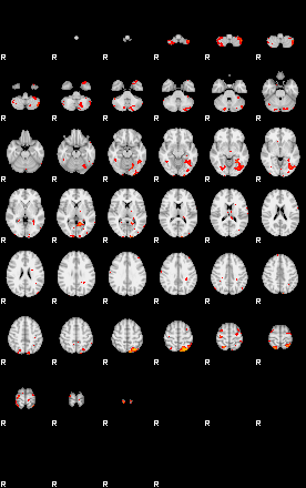 Patients 29218 117