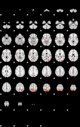 Patients 30010 67