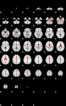 Patients 29634 10