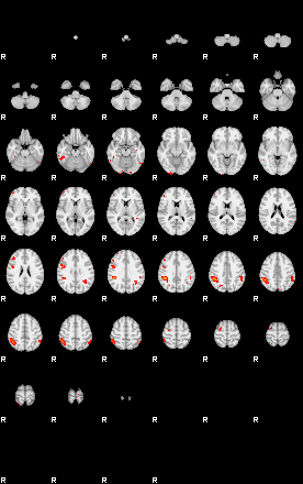 Patients 29176 19